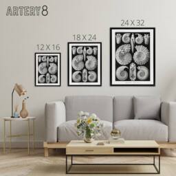 "Artery8 Ammonite Fossil Cephalopods Haeckel Botanical Framed Canvas Wall Art in Black - Size: W12"" x H16""" - thumbnail 4