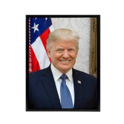 "Artery8 Portrait Donald Trump US President Framed Canvas Wall Art Print - Size: W12"" x H16""" - thumbnail 1