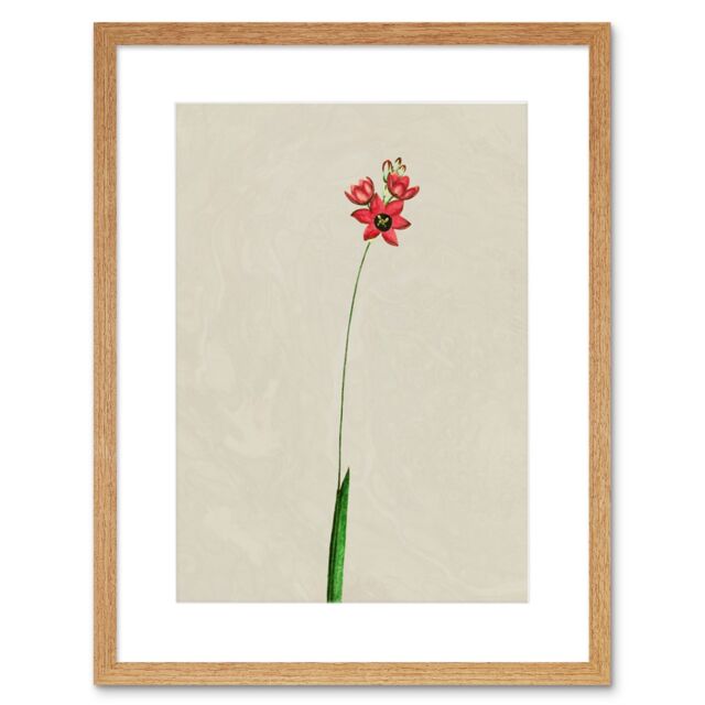"Artery8 Wall Art Print Vintage Flower Painting Art Framed 9x7 inch in Beige - Size: W7"" x H9""" - image 1