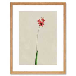 "Artery8 Wall Art Print Vintage Flower Painting Art Framed 9x7 inch in Beige - Size: W7"" x H9""" - thumbnail 1