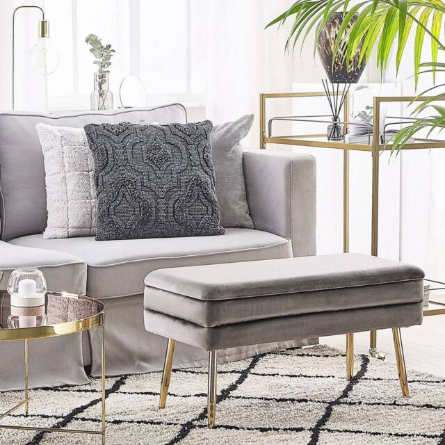 Wyld and Coco Grey Velvet Storage Bench with Golden Legs - image 1