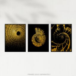 Artery8 Wall Art Print Pack of 3 A4 Abstract Spiral Shapes Chain Link Shell Staircase Gold Effect On Black Living Room s Set - thumbnail 5