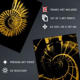 Artery8 Wall Art Print Pack of 3 A4 Abstract Spiral Shapes Chain Link Shell Staircase Gold Effect On Black Living Room s Set - thumbnail 4