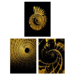 Artery8 Wall Art Print Pack of 3 A4 Abstract Spiral Shapes Chain Link Shell Staircase Gold Effect On Black Living Room s Set - thumbnail 1