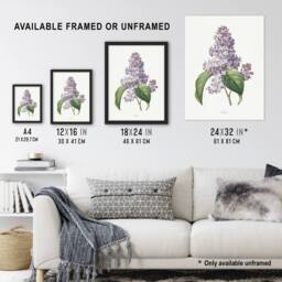 "Artery8 Lilac Floral Illustration Redoute Vintage Wall Art Print Poster in White - Size: W18"" x H24""" - thumbnail 3