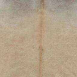 Berkfield Home Real Cowhide Rug Beige 180x220 cm - Size: Medium - thumbnail 3