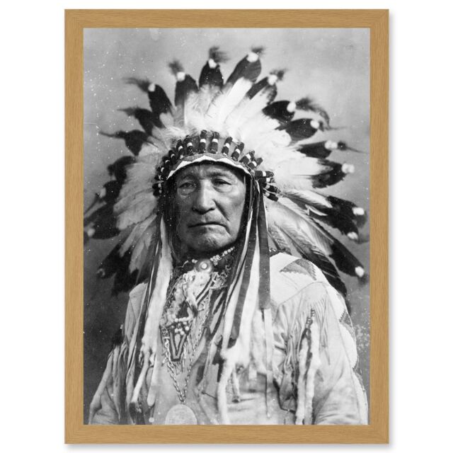 Artery8 Native American Dian Mountain Chief A4 Artwork Framed Wall Art Print in Light Oak - image 1