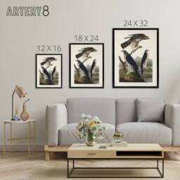 "Artery8 Goshawk & Stanley Hawk Audubon Nature Black Framed Canvas Wall Art in White - Size: W12"" x H16""" - thumbnail 4