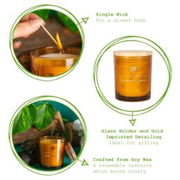 Nicola Spring 130g Sandalwood & Jasmine Soy Wax Candle - Sweet Creamy Scented Glass in Orange - thumbnail 3