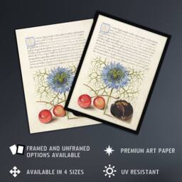 "Artery8 Love in a Mist & Cherries Calligraphy Wall Art Poster Print in White - Size: W12"" x H16""" - thumbnail 2