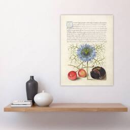 "Artery8 Love in a Mist & Cherries Calligraphy Wall Art Poster Print in White - Size: W12"" x H16""" - thumbnail 4