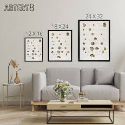"Artery8 James De Kay Seashells Study Illustration Framed Canvas Wall Art Print in White - Size: W12"" x H16""" - thumbnail 4
