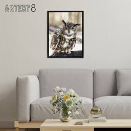 "Artery8 Owl perched on a rock Carol M Highsmith Framed Canvas Wall Art Print - Size: W12"" x H16""" - thumbnail 3