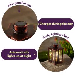 Marco Paul 2pck Solar Firefly Star Lanterns in Bronze - thumbnail 5