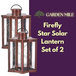 Marco Paul 2pck Solar Firefly Star Lanterns in Bronze - thumbnail 3