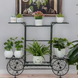 Pirlo Plush Cart Metal Indoor Outdoor Plant Stand Organiser With 6 Tiers in Black - thumbnail 3