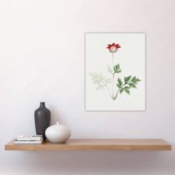 "Artery8 Red Bloom Flower Vintage Japan Wall Art Print Japanese Botanical - Size: W12"" x H16""" - thumbnail 4