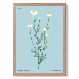 ARTZE Blue Daisies Flower Market Minimalist Framed Print SIZE: A4 with Oak Frame in Mid Blue