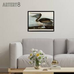 "Artery8 Audubon Birds Brown Pelican Painting Framed Canvas Wall Art Print - Size: W12"" x H16""" - thumbnail 3