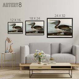 "Artery8 Audubon Birds Brown Pelican Painting Framed Canvas Wall Art Print - Size: W12"" x H16""" - thumbnail 4