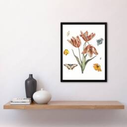 Artery8 Flowers Butterflies & A Fly Johan Teyler Framed Wall Art Print in White - Size: A4 - thumbnail 2