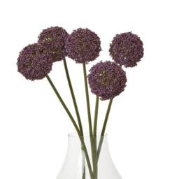 Sostter Vibrant Purple Allium Stem for Stylish Home Décor - thumbnail 3