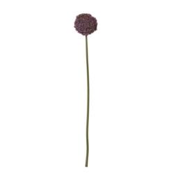 Sostter Vibrant Purple Allium Stem for Stylish Home Décor - thumbnail 1
