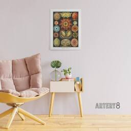 "Artery8 Ascidiae Colourful Marine Life Haeckel Botanical Canvas Wall Art - Size: W18"" x H24""" - thumbnail 3