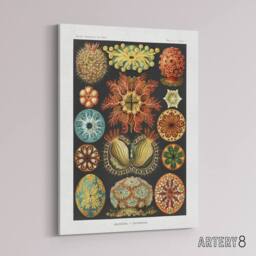 "Artery8 Ascidiae Colourful Marine Life Haeckel Botanical Canvas Wall Art - Size: W18"" x H24""" - thumbnail 2