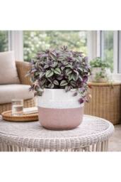 KDMD Hortus Pink & White Bordeaux Stoneware Pot 22.5cm H x 24.5cm Dia - thumbnail 4
