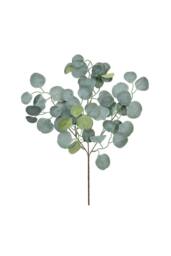KDMD Essential Green Silver Dollar Artificial Plant