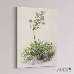 "Artery8 New Zealand Wild Spaniard Flower Featon Canvas Wall Art Print in Beige - Size: W12"" x H16""" - thumbnail 2