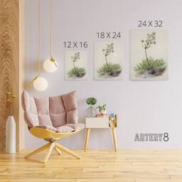 "Artery8 New Zealand Wild Spaniard Flower Featon Canvas Wall Art Print in Beige - Size: W12"" x H16""" - thumbnail 4