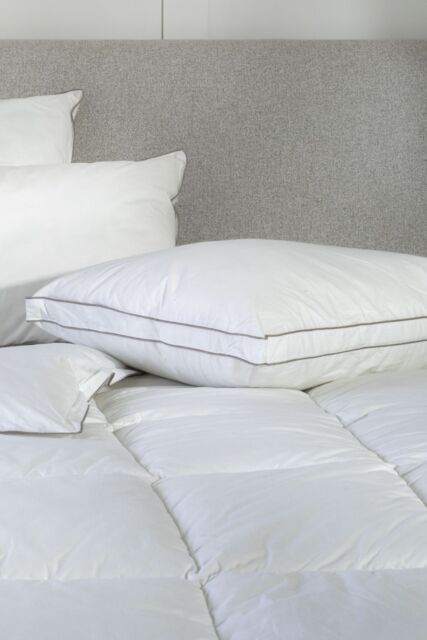 Soak&Sleep Soft As Down Microfibre Standard Pillow - Medium/Firm in White - image 1