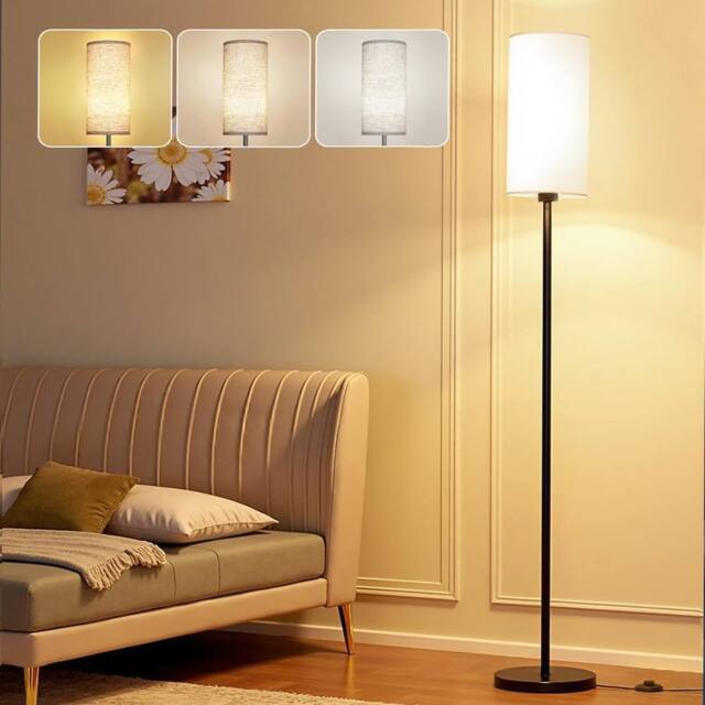 Havendro LED Floor Lamp 3 Color Dimmable Magnetic Remote Control in Black - image 1