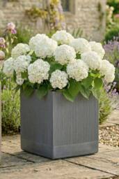 Dibor X-Large Slate Grey Ribbed Finish Fibre Clay Indoor Outdoor Garden Plant Pots Houseplant Flower Planter H44 x W44cm - Size: Large - thumbnail 1