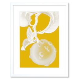 "Artery8 Wall Art Print Modern Bold Biodiversity Orange Plant Artwork Framed 9X7 Inch in White - Size: W7"" x H9""" - thumbnail 1