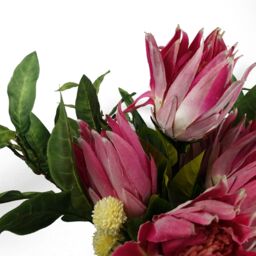 Leaf Pack of 6 x 65cm Protea Sugarbush Flower Stem - Pink - Size: 6 x 65 cm - thumbnail 5