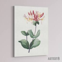 "Artery8 Honeysuckle Botanical Redoute Vintage Canvas Wall Art in White - Size: W18"" x H24""" - thumbnail 2