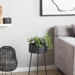 Wyld and Coco Black Iron Tripod Plant Stand 29 x 26 x 50 cm
