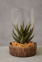 Orsina Fiori Small Succulent with Stone Base in Natural - thumbnail 2