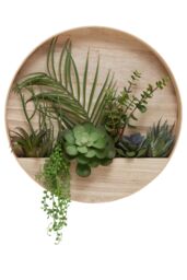 Orsina Mixed Succulents In Wood Wall Planter, Faux Succulents In Round Wooden Frame, Farmhouse Wall Art in Natural