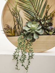 Orsina Mixed Succulents In Wood Wall Planter, Faux Succulents In Round Wooden Frame, Farmhouse Wall Art in Natural - thumbnail 4