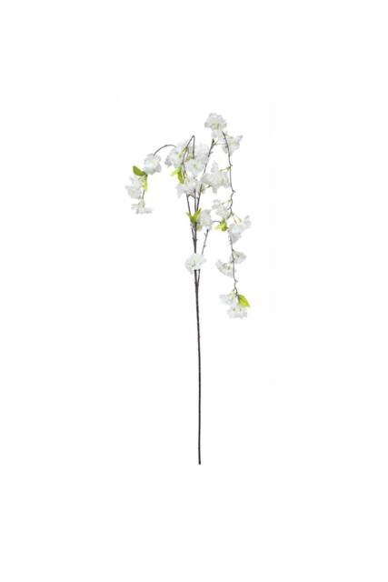 KDMD Essential White Weeping Cherry Blossom 2 Pack - image 1