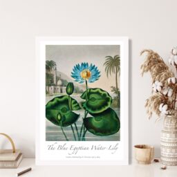 ARTZE Vintage Floral Exhibition - Egyptian Water Lily Framed Print SIZE: A2 with White Frame in Green - Size: A4 - thumbnail 2