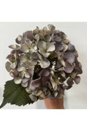 KDMD Balmoral Light Blue Hydrangea 45cm 2 Pack - thumbnail 6