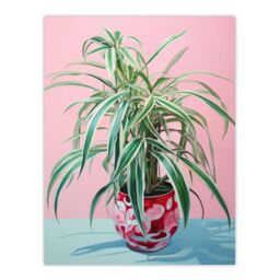 "Wee Blue Coo Wall Art Print Spider Plant Lover Pink Green Blue Living Room - Size: W18"" x H24""" - thumbnail 1
