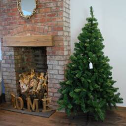Samuel Alexander 6ft (180cm) Imperial Pine Christmas Tree in Green 115cm Diameter with 525 Tips