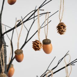 Scottish Everlastings Ltd 24pc Decorative Hanging Acorns & Cones in Brown - thumbnail 4