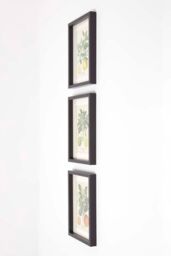 Homescapes Wall Decoration Set of 3 Frames with Picture, Citrus Fruits - thumbnail 5